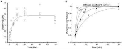 Determination of Diffusion Kinetics of Ketamine in Brain Tissue: Implications for in vitro Mechanistic Studies of Drug Actions